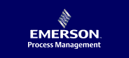 Emerson Process Management